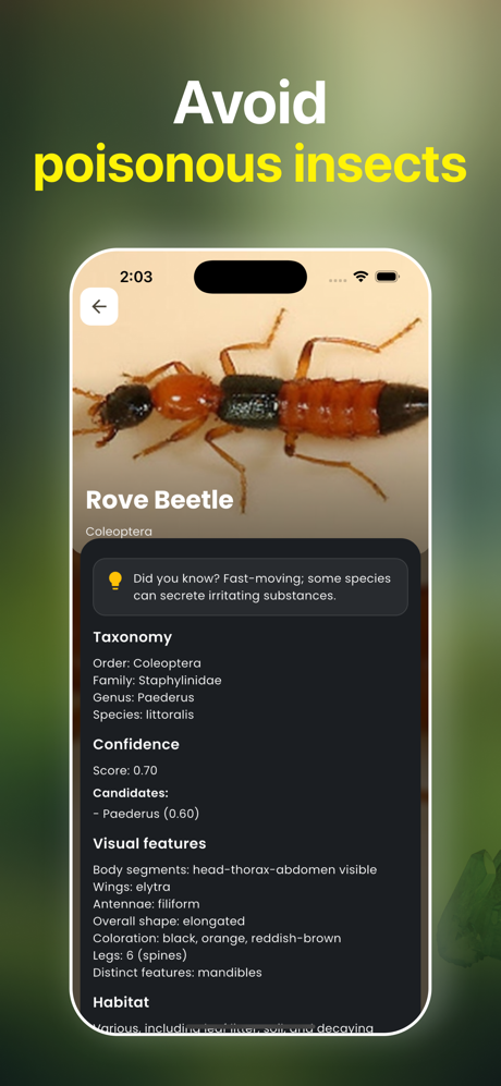 Bug Identifier: Spider Scanner screenshot 2