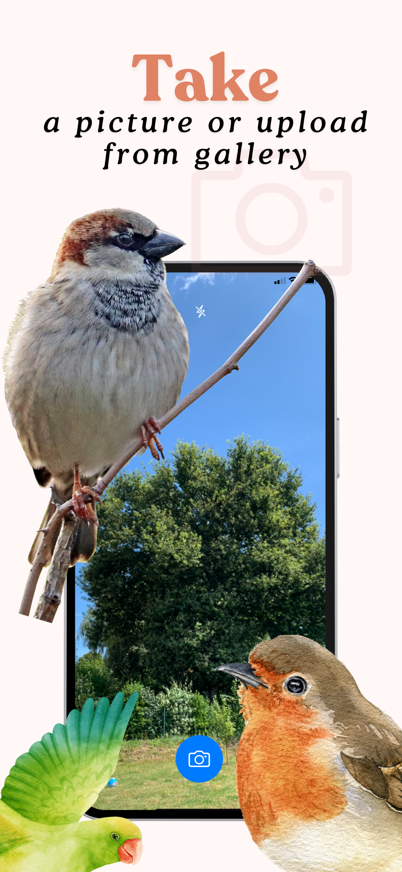 Bird Identifier - Bird+ screenshot 3