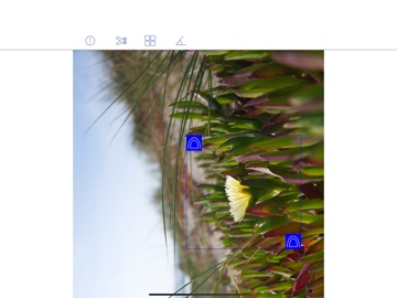 Photo Cut + iPad screenshot