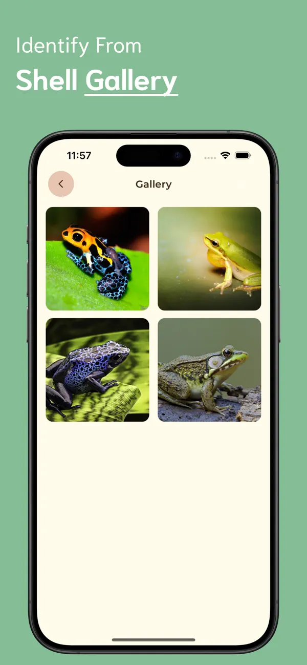#6. Frog Identifier - FI (iOS) Ved: Ankur Dhameliya