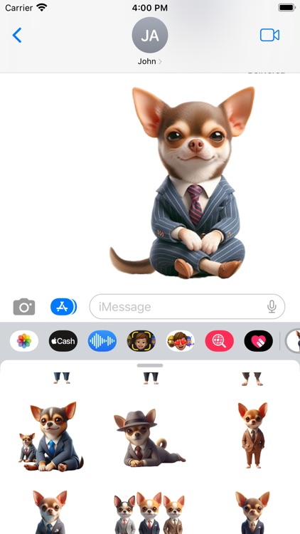 Fashionable Chihuahua screenshot-4