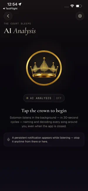 Solomon AI - Music Analysis screenshot 3