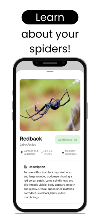 Spider Identifier - AI Scan Screenshot 3 of 4
