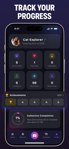 Cat Finderㅤ screenshot 4