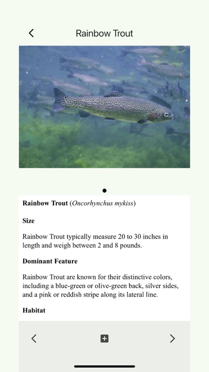 Wildlife of Texas screenshot-3