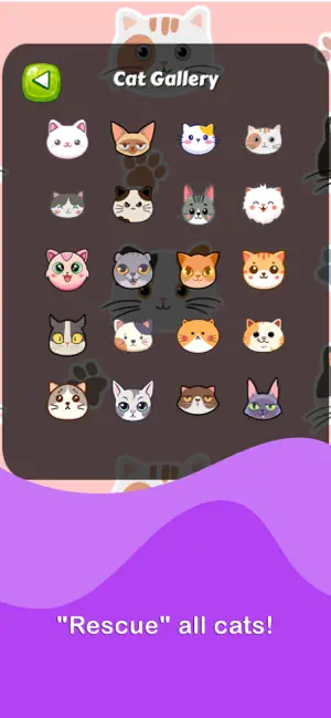 Crazy Cat Lady Slide Puzzle screenshot 4