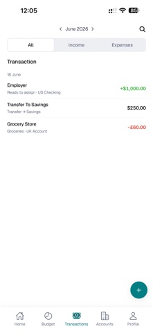 Nomad Budget – Multi-Currency Screenshot 5 of 5