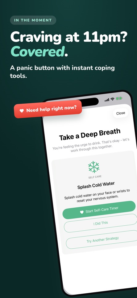 QUITHOL: Quit Drinking Tracker screenshot 4