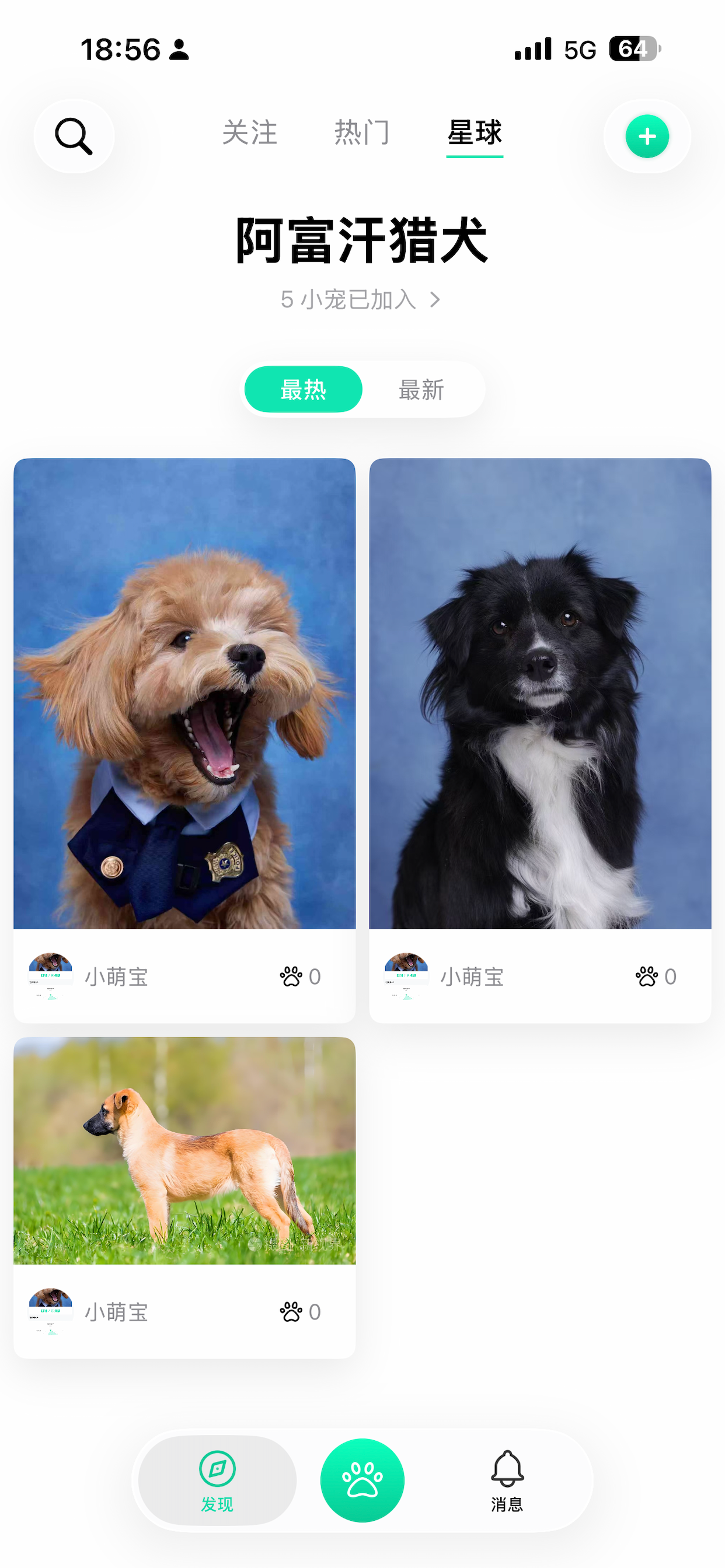 宠视角