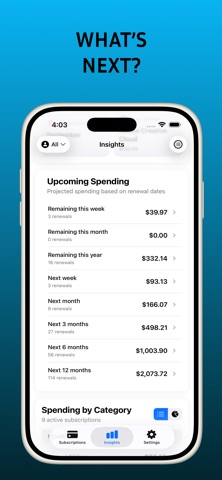 SubsTracker+ Screenshot 10 of 10