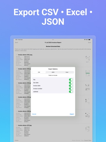 TextraFlow: AI Data Extract iPad screenshot