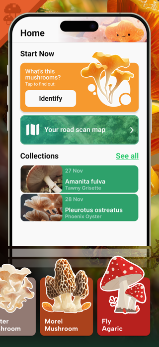 Mushroom Identifier: Scan Pro Screenshot 1 of 4