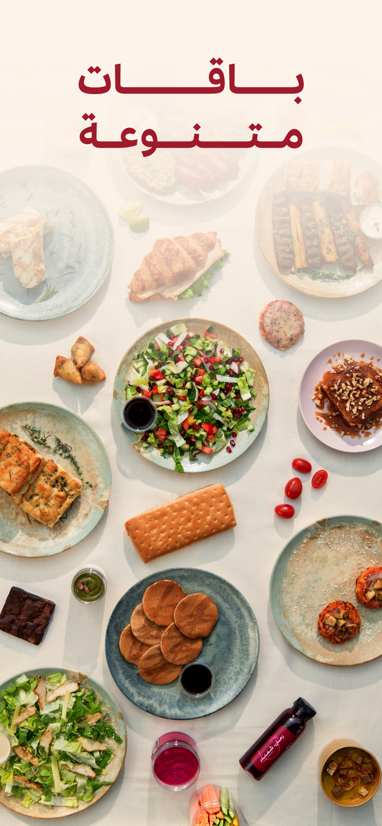 ZED MEALS | زد ميلز
