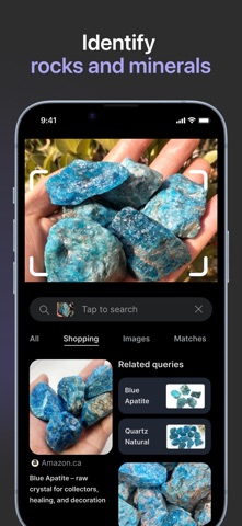 Reverse Image Search – Lens AI screenshot