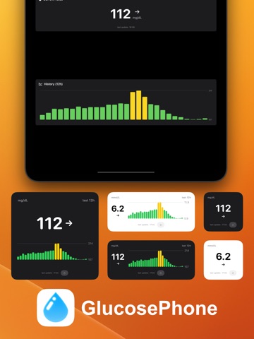 GlucosePhone iPad screenshot