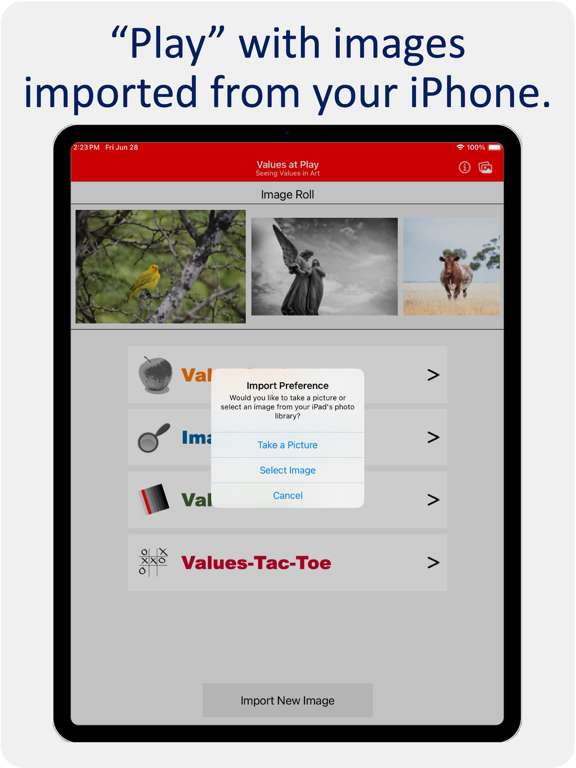 Values at Play iPad screenshot 5 - Graphics & Design app