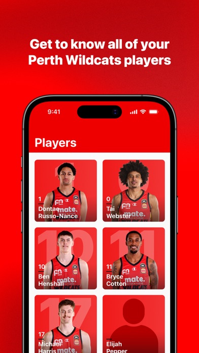 Perth Wildcats Screenshot