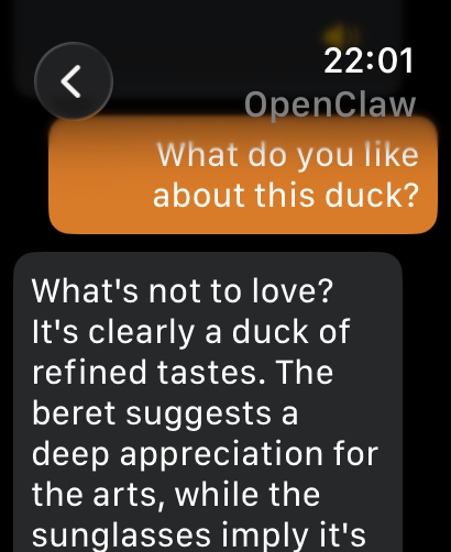 Conduck screenshot 19
