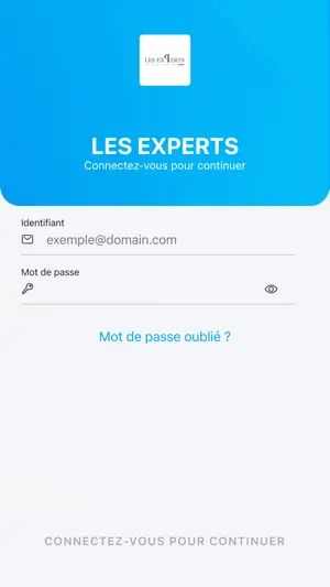 LES EXPERTS screenshot 2