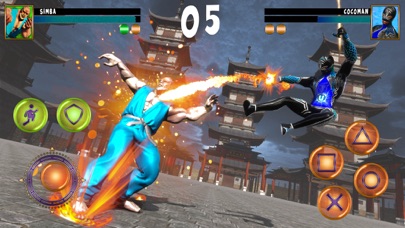Hero Combat 3D Fighting Game Screenshot