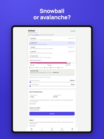 DelDebt: Debt Payoff Planner iPad screenshot
