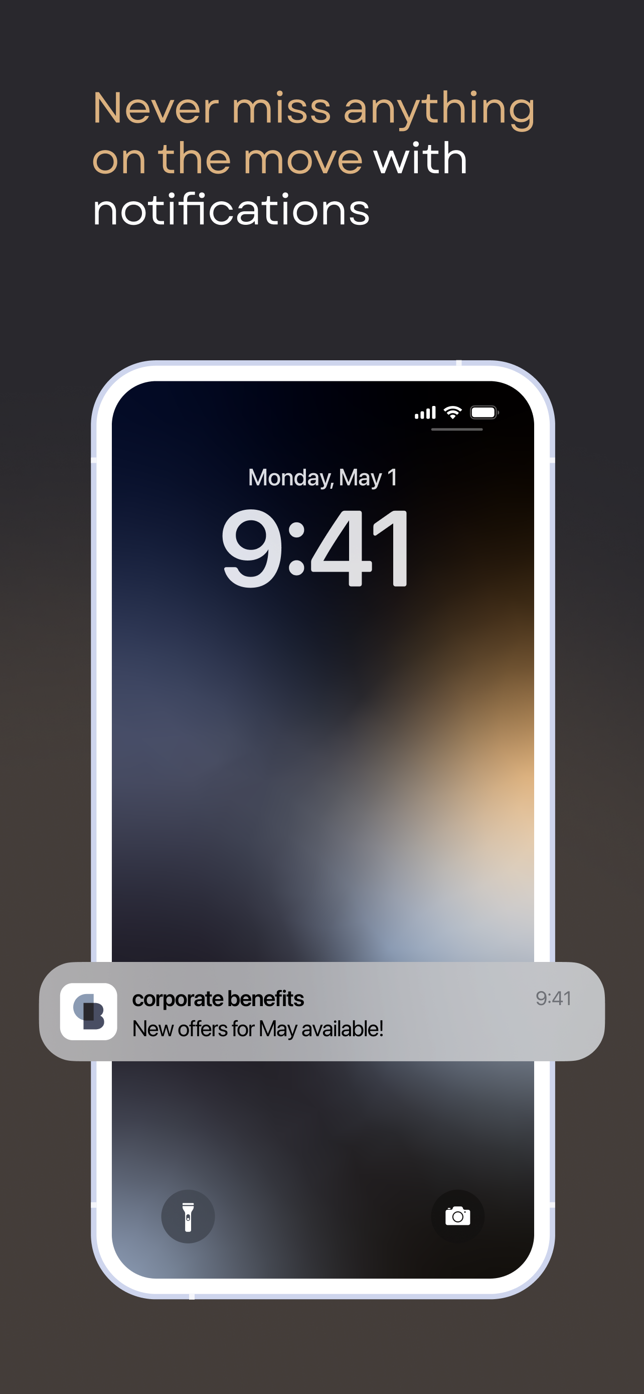 corporate benefits IT
