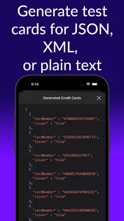 ICardVerify - Card Validator iPhone image 1