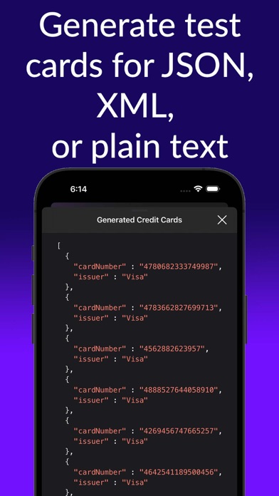 iCardVerify - Card Validator iPhone screenshot 1 - Developer Tools app