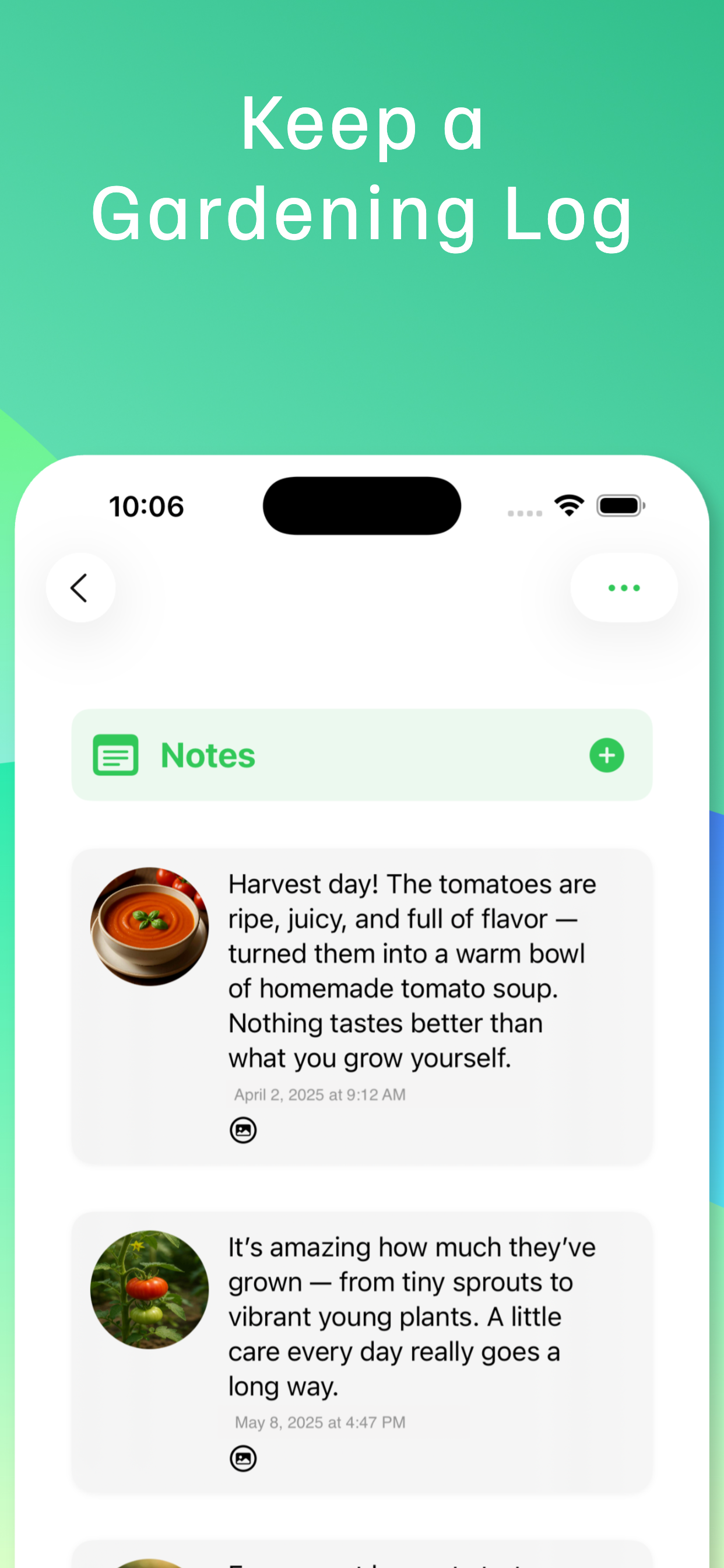 My Veggie Garden screenshot 8