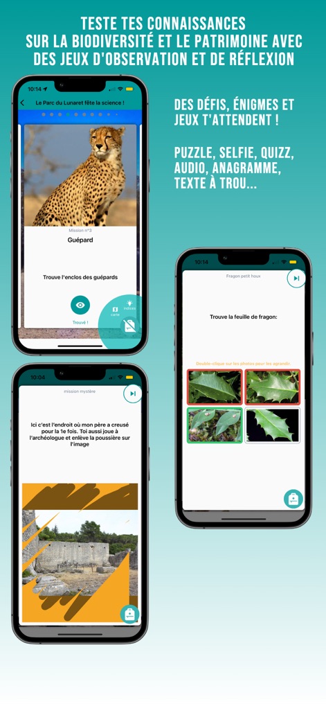 Explorama - Travel App | MWM