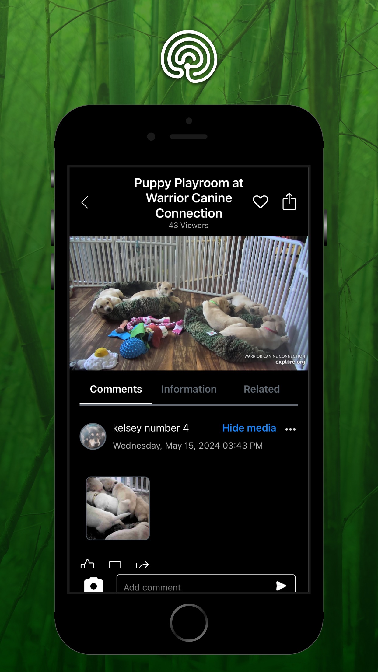 explore.org screenshot 2