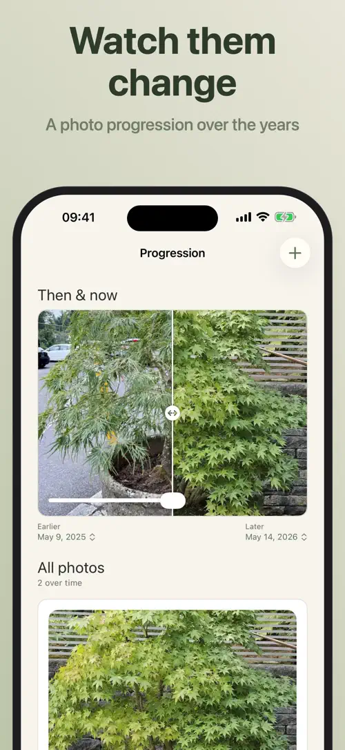 Bonsaiku on iPhone: screenshot 6 of 7