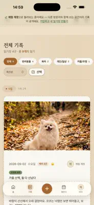 하루담다 스크린샷 2