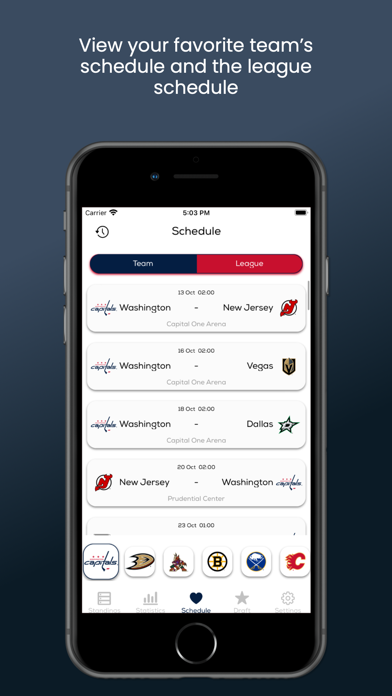 Hockey Insight Screenshot