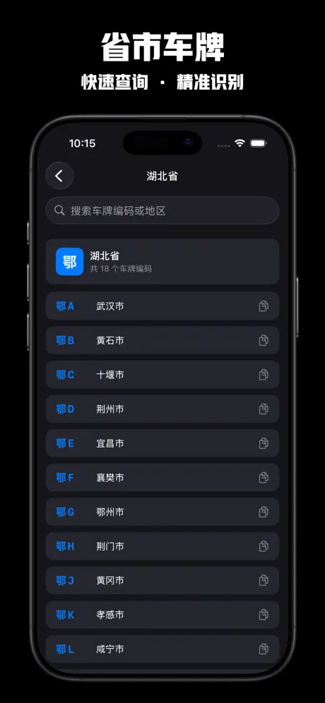 车牌号查询 - 车牌号码查询归属地车牌属地信息查询 screenshot 6