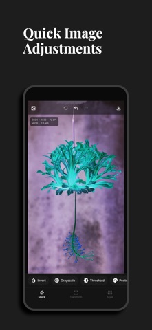 DotPress Screenshot 2 of 7