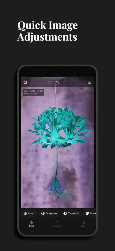 DotPress screenshot 2