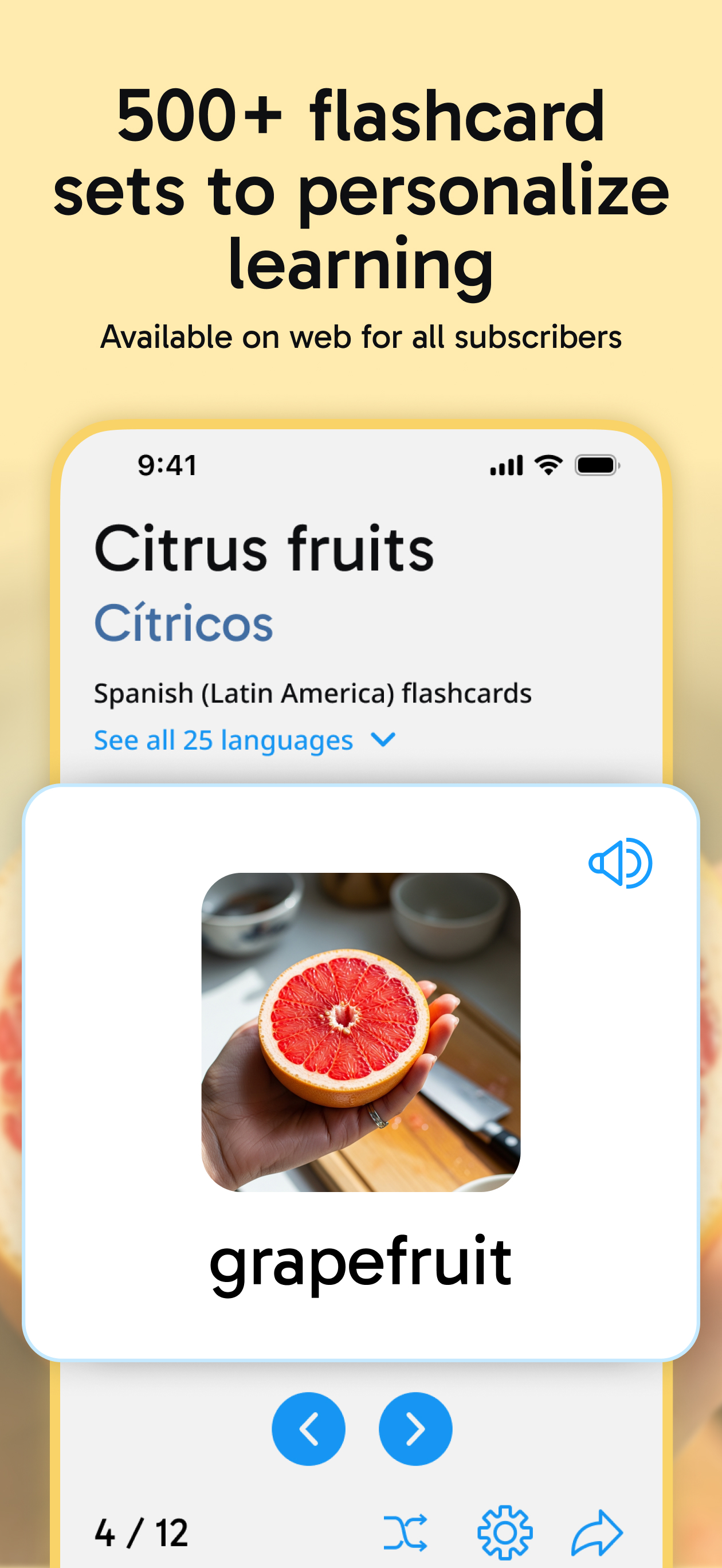 Rosetta Stone Sapphire screenshot 6