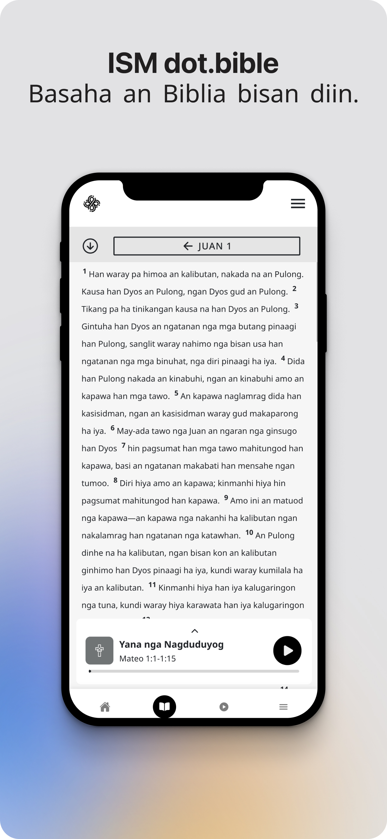 dot.Bible Winaray screenshot 3