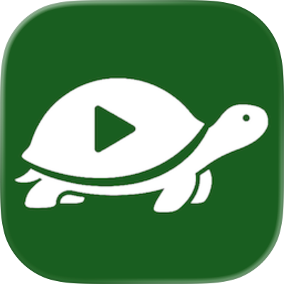 Turtle: Watch Party 和好友一起看视频
