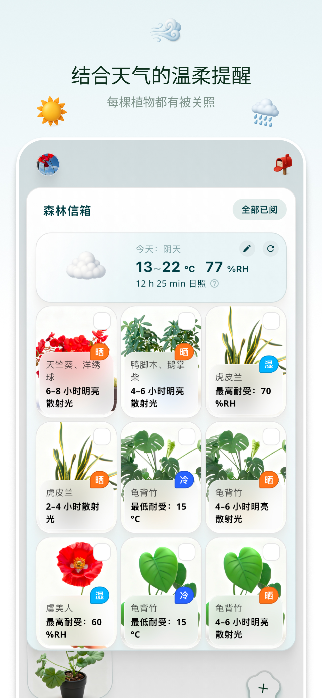 小森里 screenshot 10