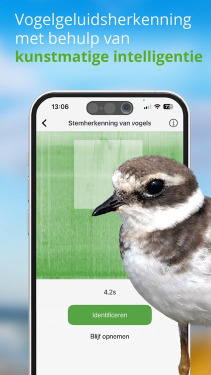 Vogels van Nederland en België