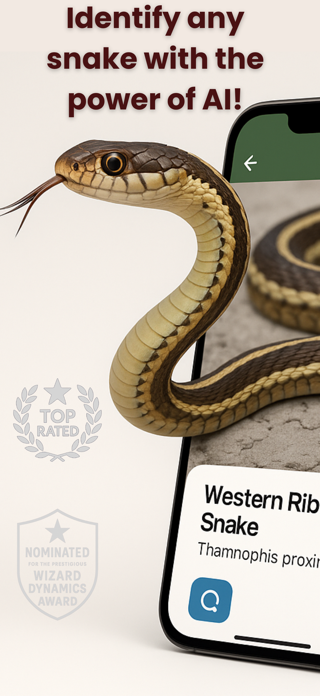 Snake Identifier: AI Scanner Screenshot 1 of 4
