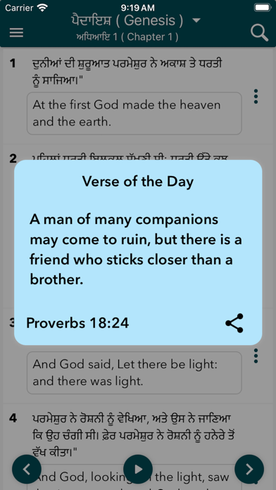 Holy Bible In Punjabi Screenshot