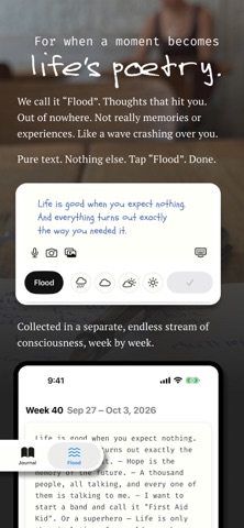 morements: Journal & Diary screenshot 5