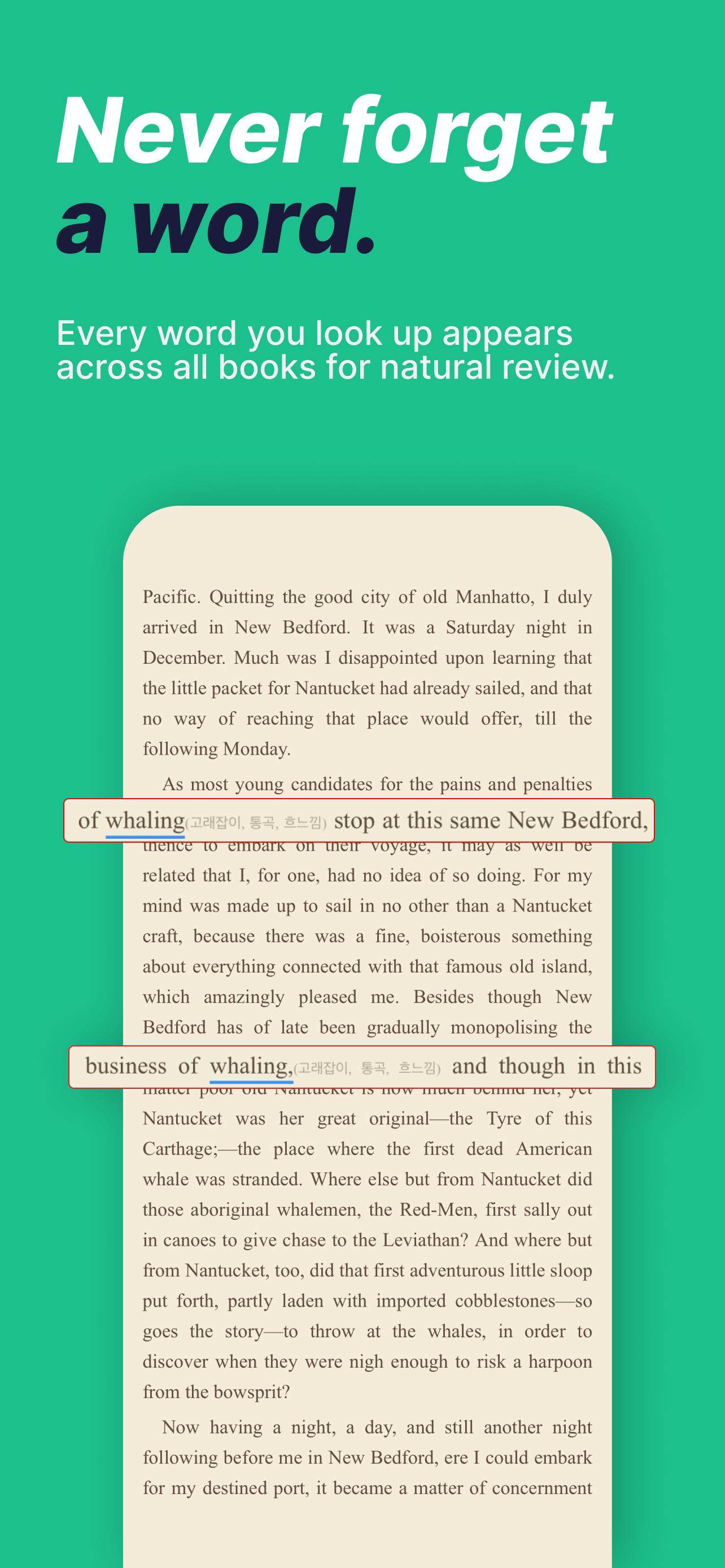 BookLight - EPUB Translator screenshot 2