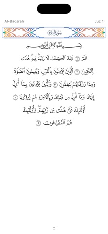 Quran and Tafsir iPhone screenshot