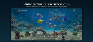 Duo Aquarium screenshot 1