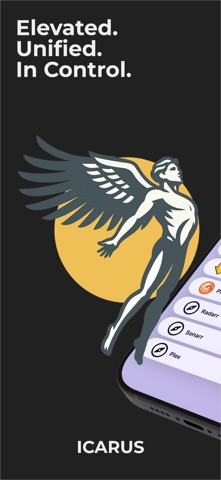 Icarus - Media Manager screenshot