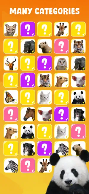 Memory Game Master screenshot 3